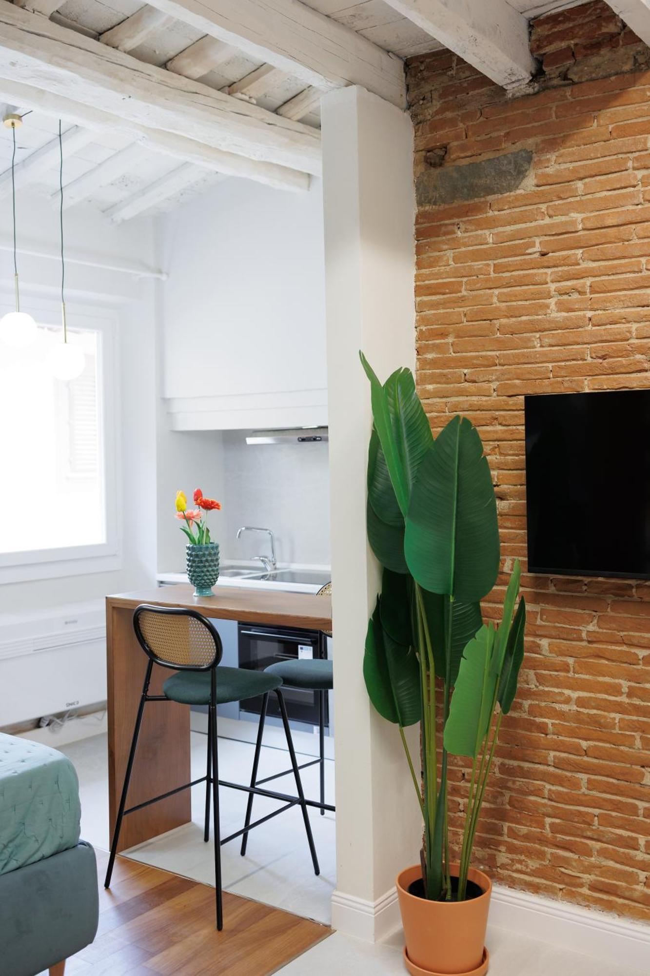 Appartement Jungle Flat